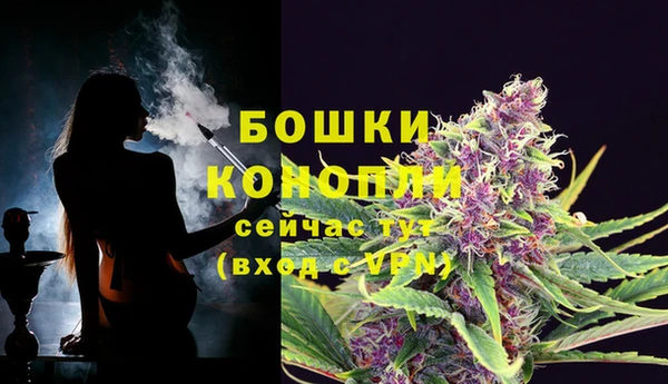 стафф Майский