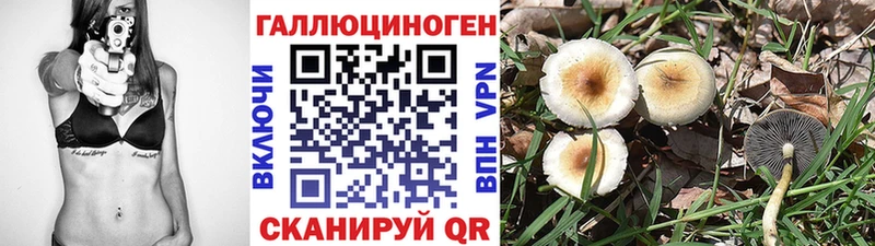ОМГ ОМГ зеркало  даркнет сайт  Приволжск  Псилоцибиновые грибы MAGIC MUSHROOMS 