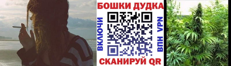Конопля Ganja  Приволжск 